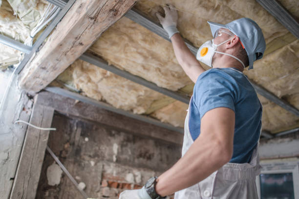 Types of Insulation We Offer in Solvay, NY